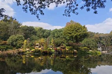 國務(wù)院常務(wù)會討論《中華人民共和國招標投標法（修訂草案）》