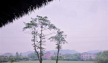 湖北信息通信業全力推動行業實現一季度“開門紅”